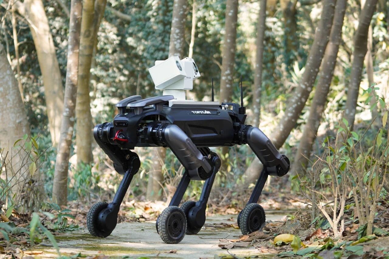 �й���������