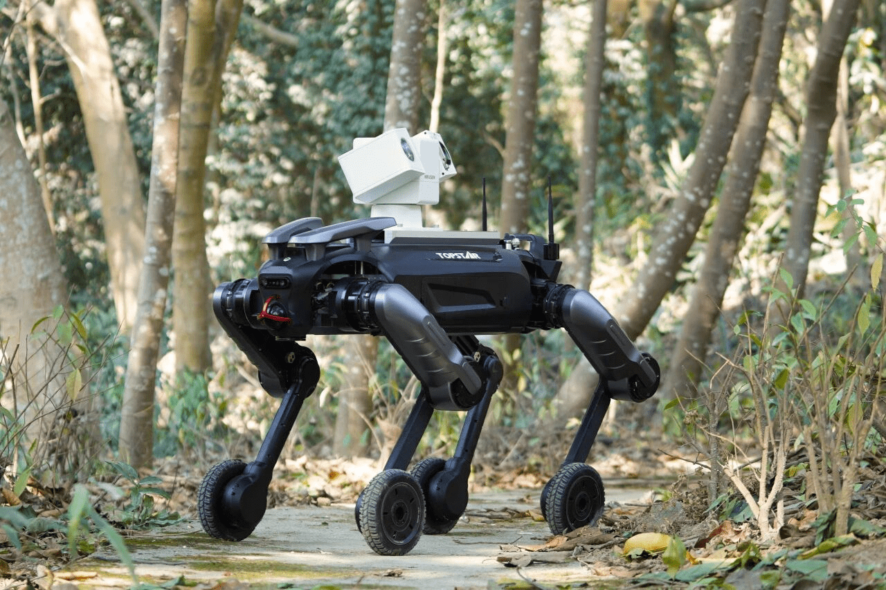 �й���������